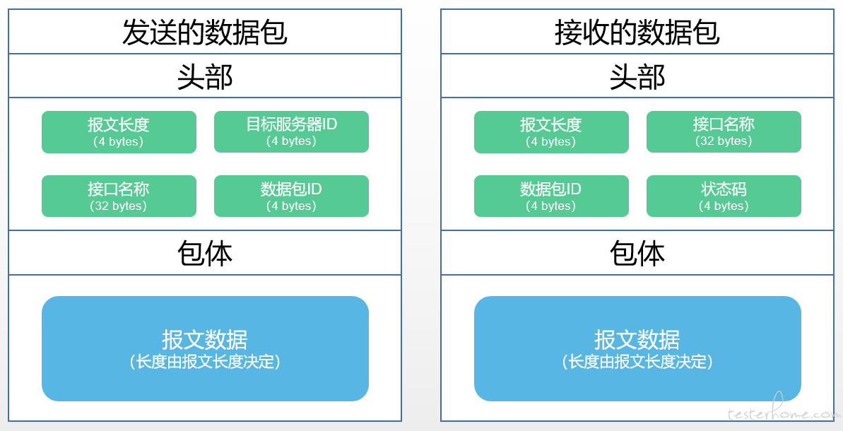 数据报文