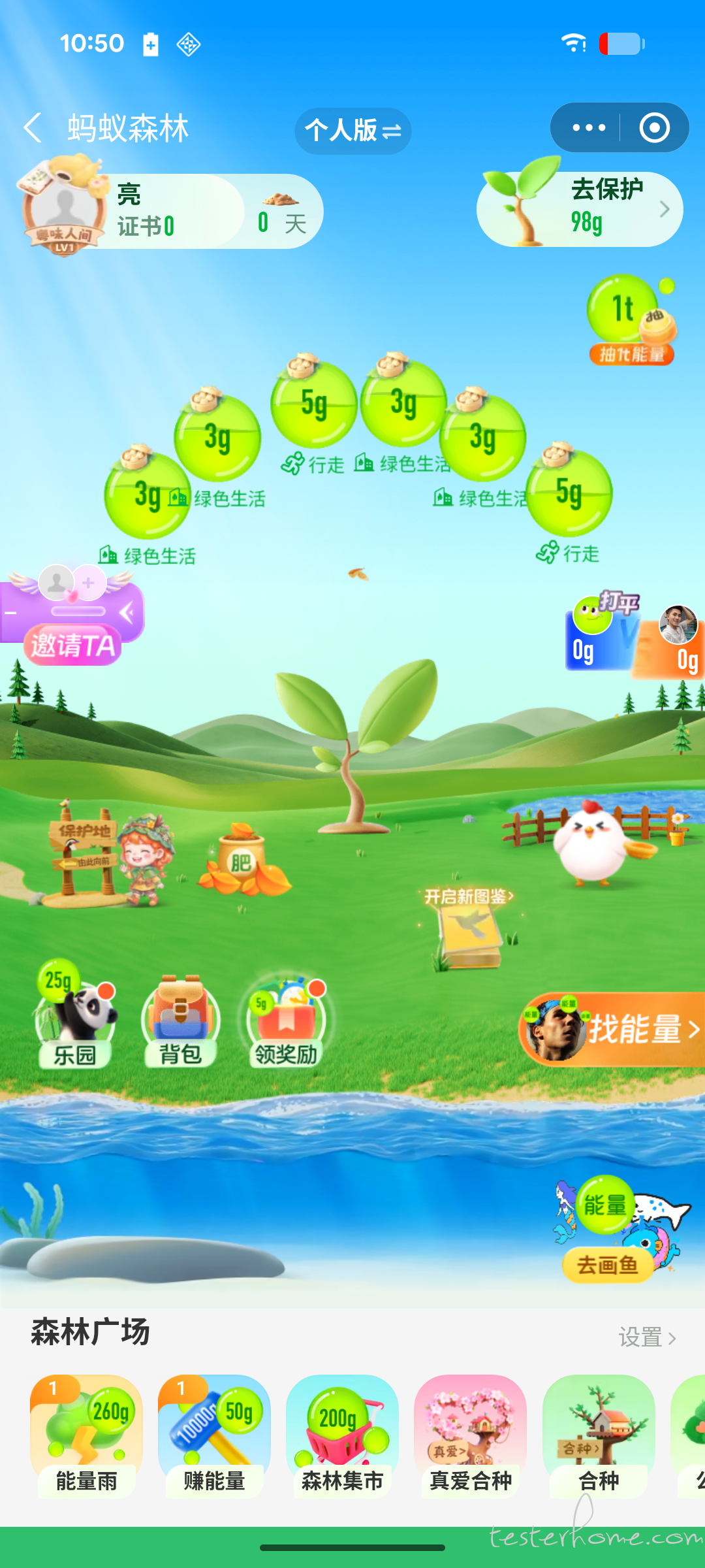 图5:设置往返后的森林页面