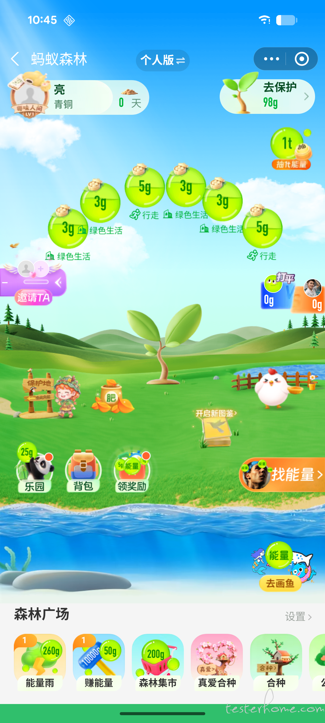 图2:蚂蚁森林首页